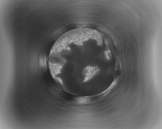 X0000100920094200807221125