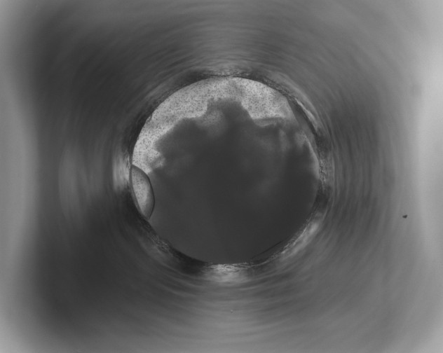 X0000100920095200807221125