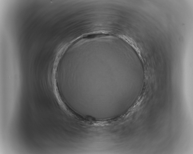X0000100920097200807221124