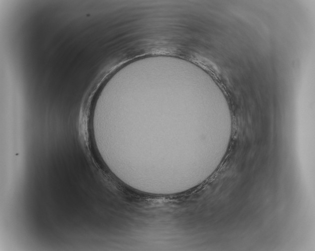 X0000100920098200807221124
