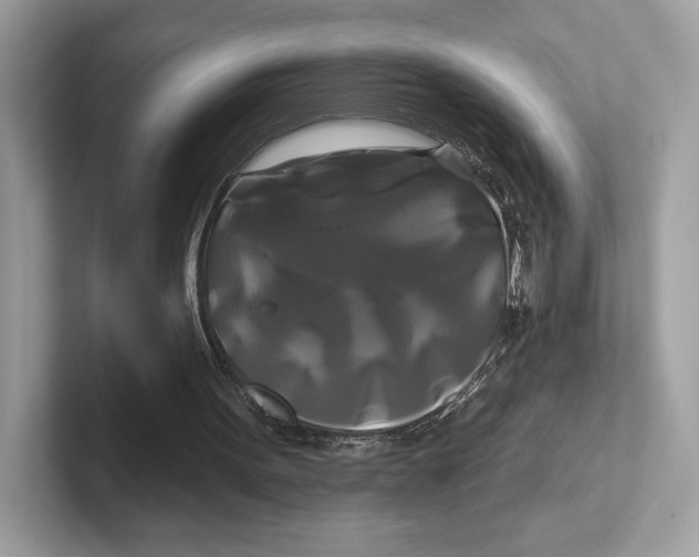 X0000100920099200807221124