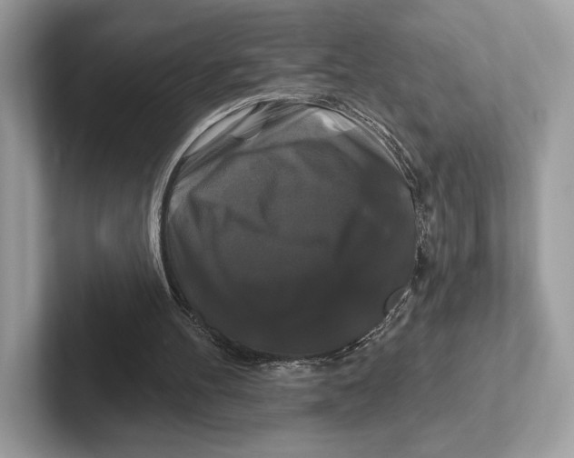 X0000100920100200807221124