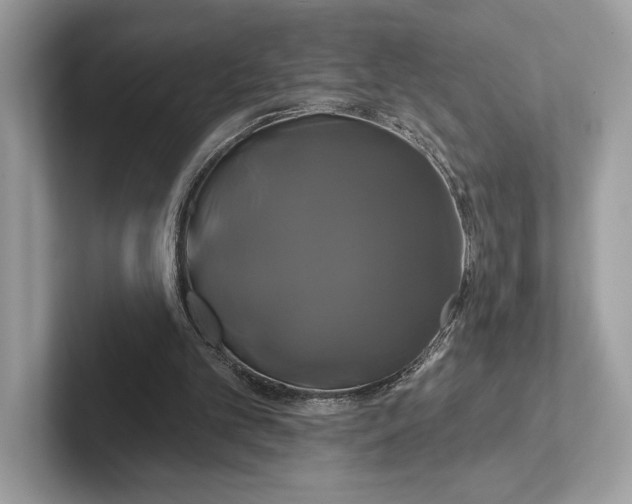 X0000100920101200807221124