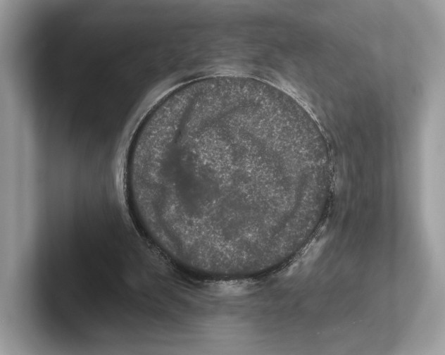 X0000100920103200807221124