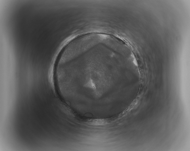 X0000100920104200807221124