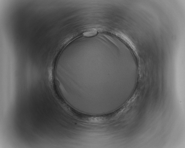 X0000100920105200807221124