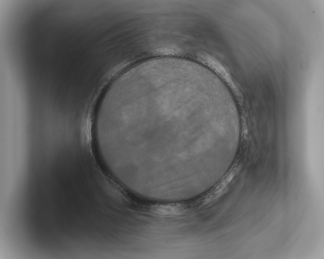 X0000100920106200807221124
