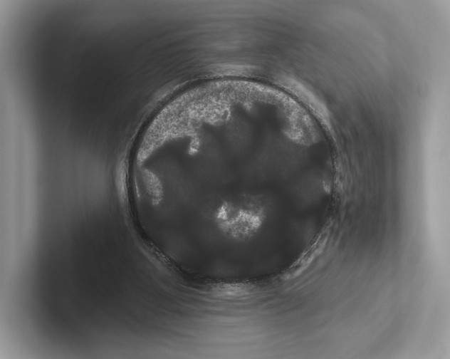 X0000100920107200807221124