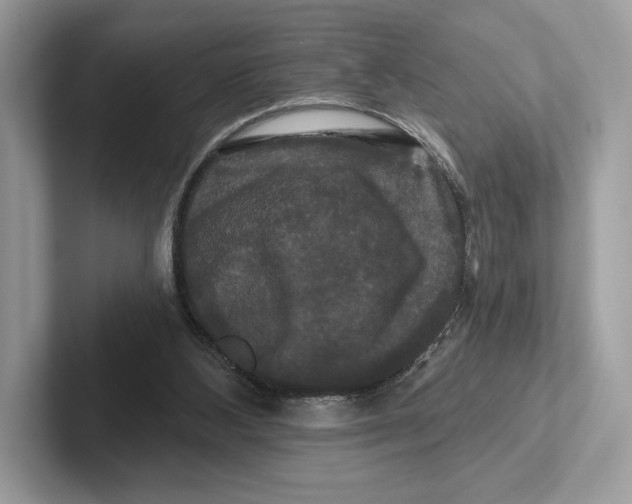 X0000100920108200807221124