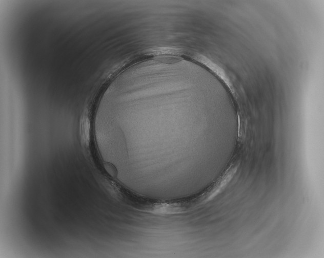X0000100920109200807221124