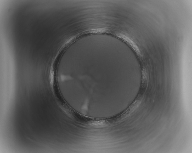 X0000100920110200807221124