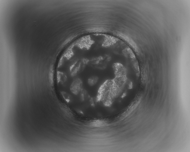 X0000100920111200807221124