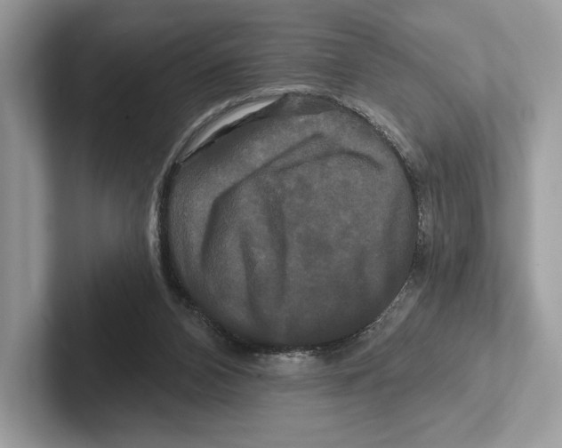 X0000100920112200807221124