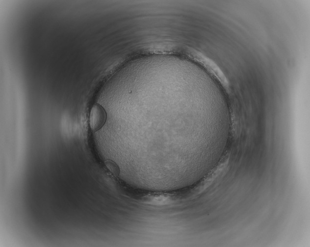 X0000100920113200807221124