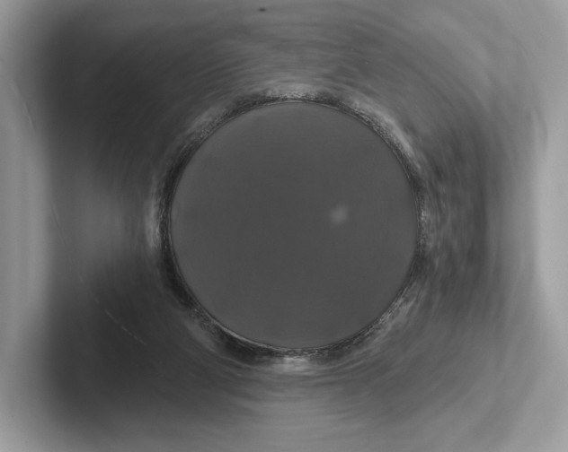 X0000100920114200807221124