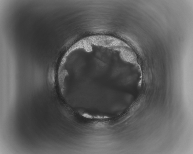X0000100920115200807221124