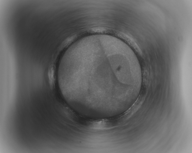 X0000100920116200807221124