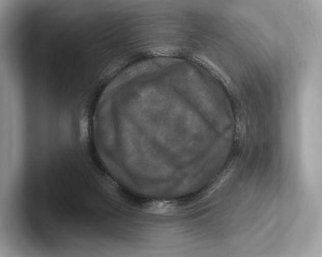 X0000100920117200807221124