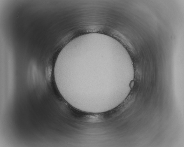 X0000100920118200807221124