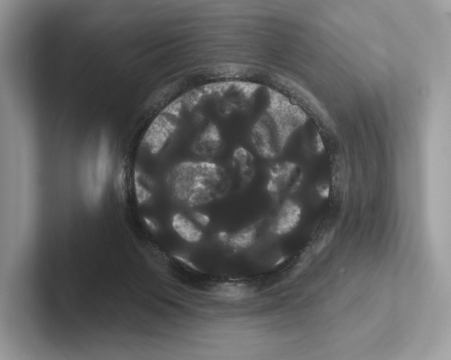 X0000100920119200807221124