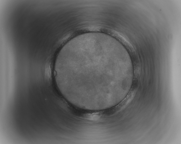 X0000100920120200807221124