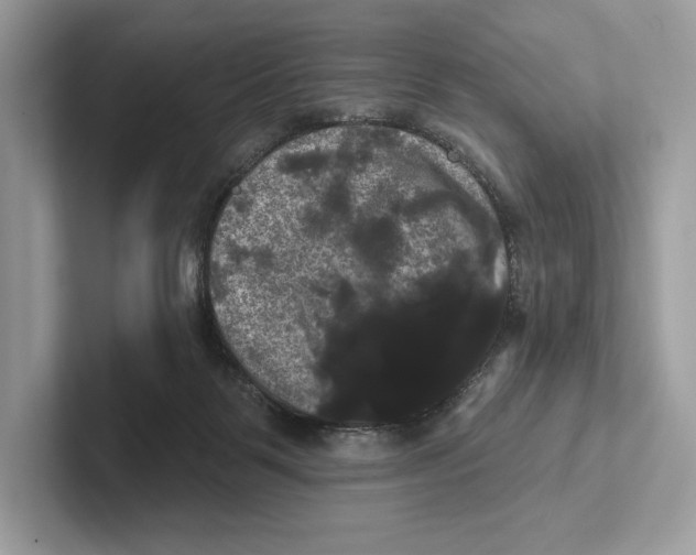 X0000100920123200807221124