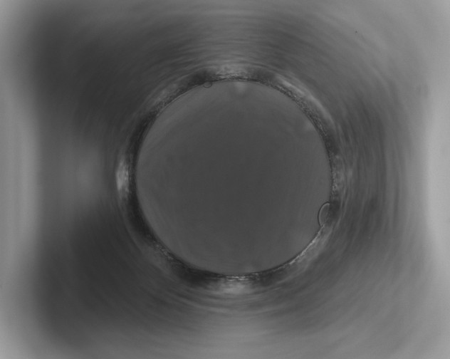 X0000100920124200807221124