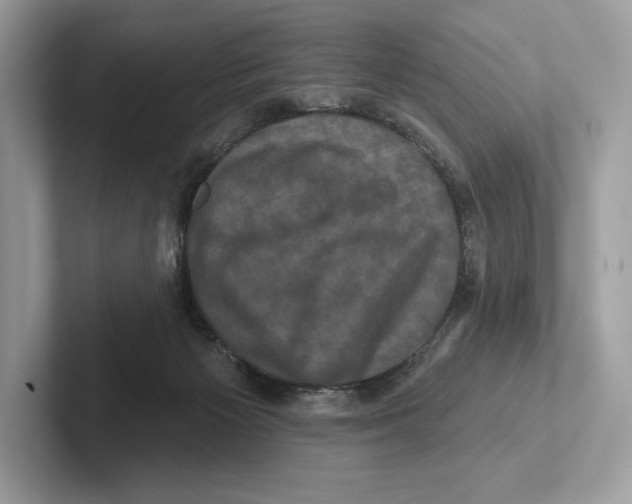 X0000100920125200807221124