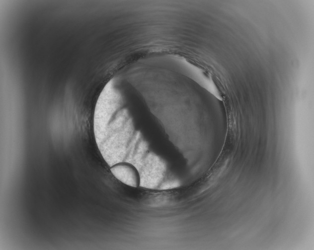 X0000100920127200807221124