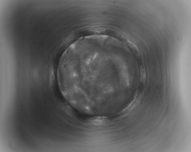 X0000100920128200807221124