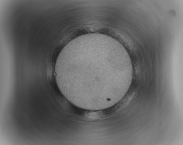 X0000100920129200807221124
