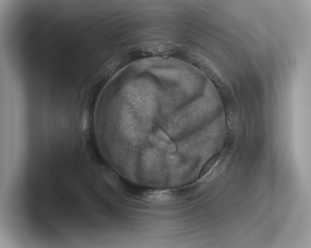 X0000100920132200807221124