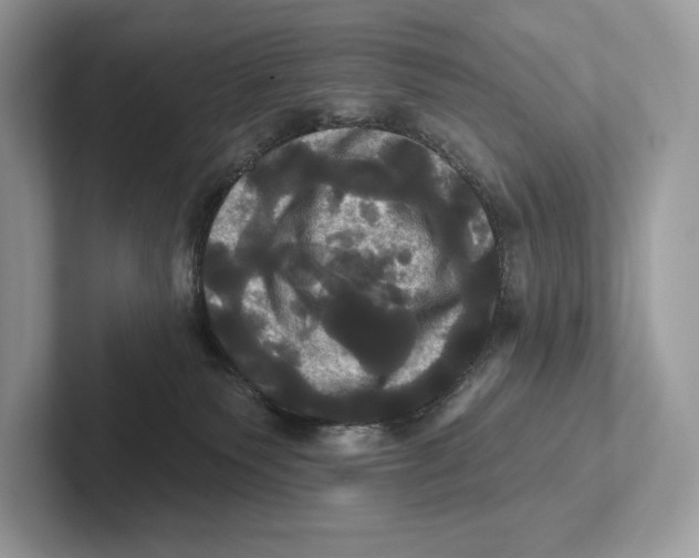 X0000100920135200807221124