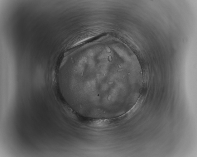 X0000100920136200807221124