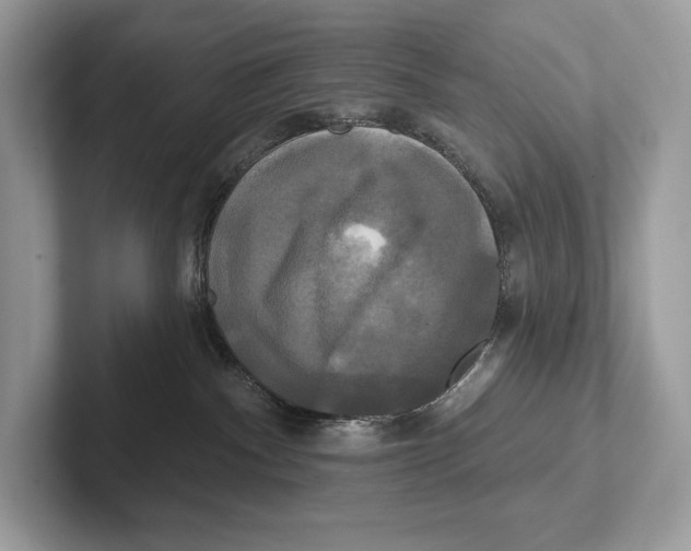 X0000100920140200807221124