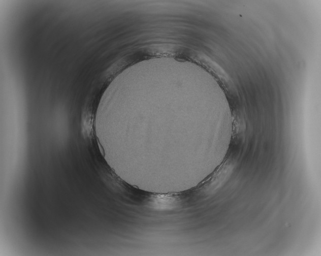 X0000100920141200807221124