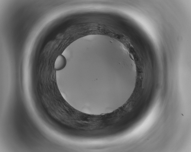 X0000100920143200807221124