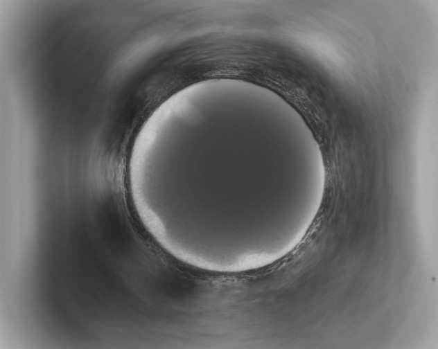 X0000100920146200807221123