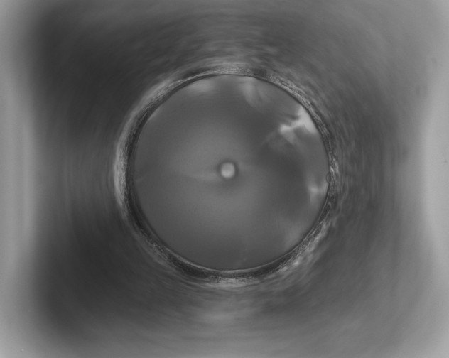 X0000100920149200807221123