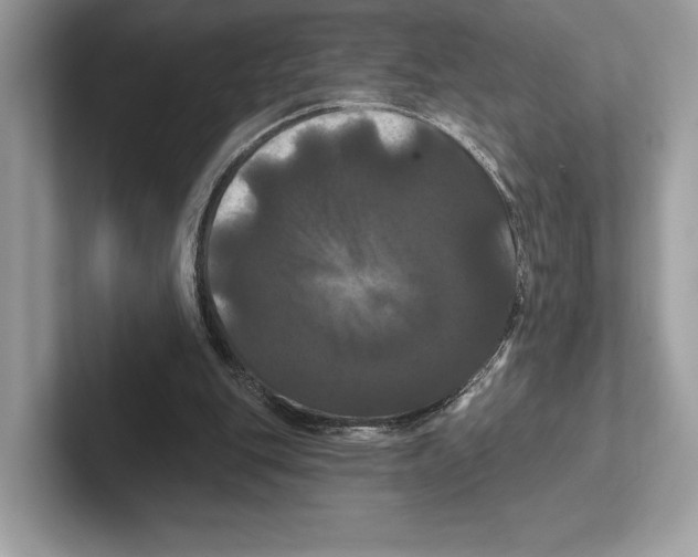 X0000100920151200807221123
