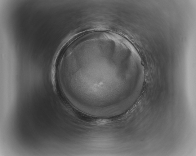 X0000100920152200807221123