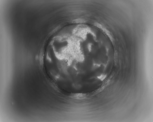 X0000100920153200807221123