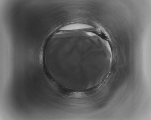X0000100920154200807221123