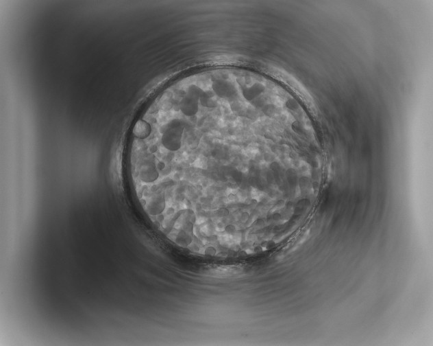 X0000100920155200807221123