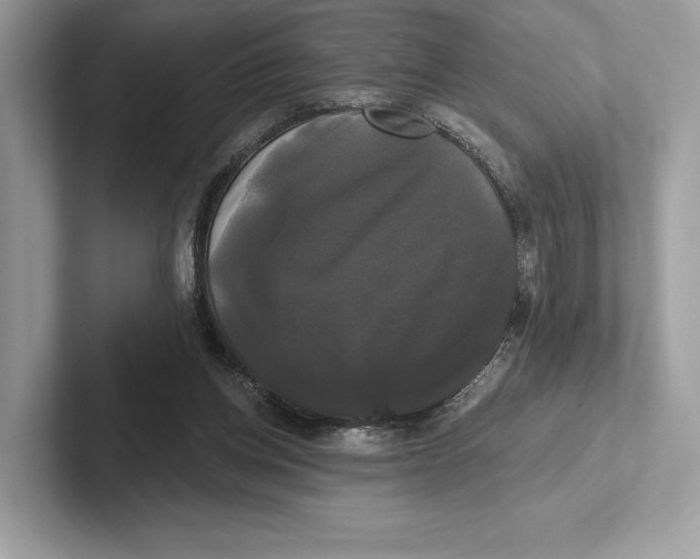 X0000100920158200807221123