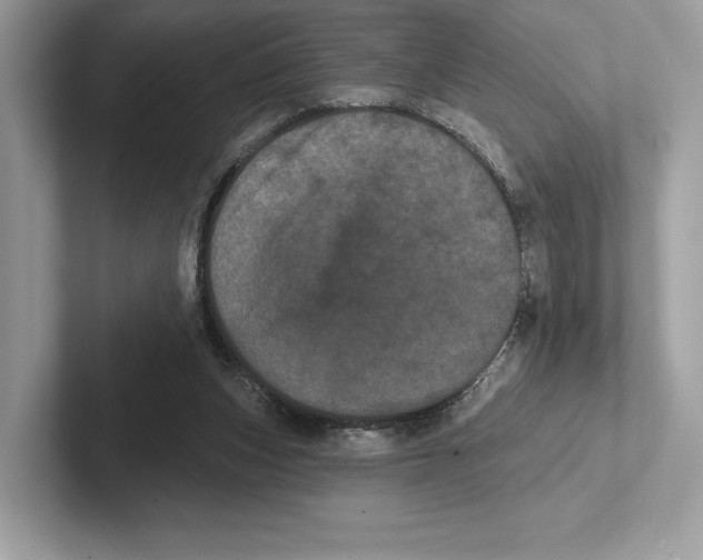 X0000100920159200807221123