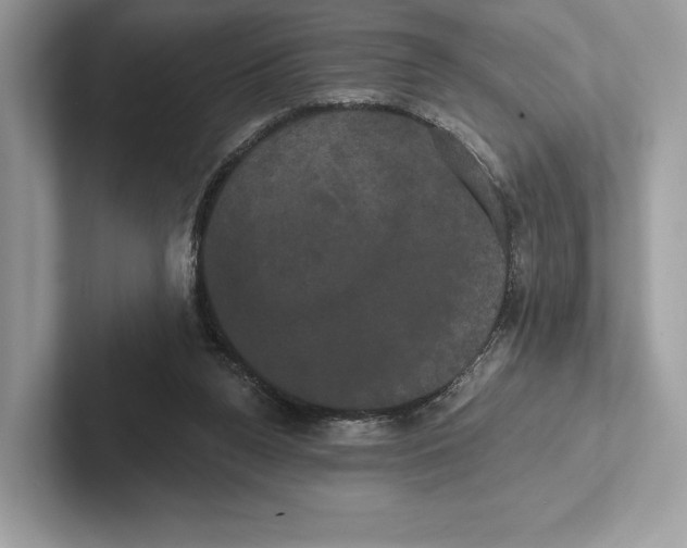 X0000100920160200807221123