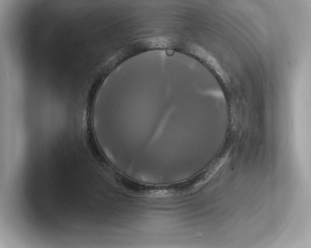 X0000100920161200807221123