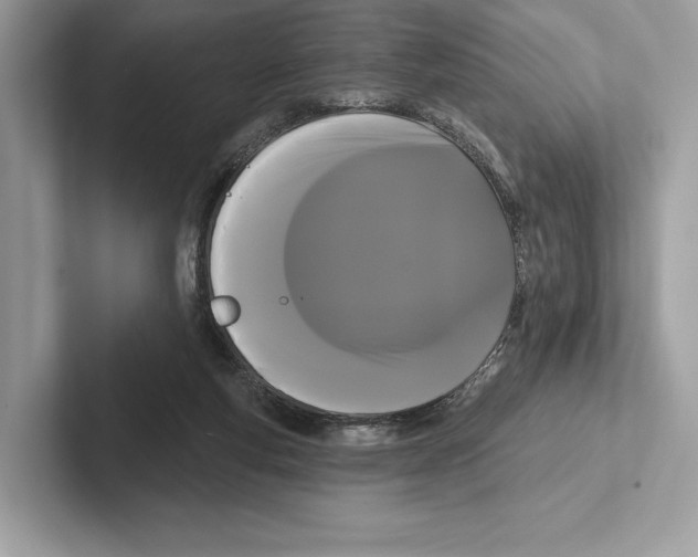 X0000100920163200807221123