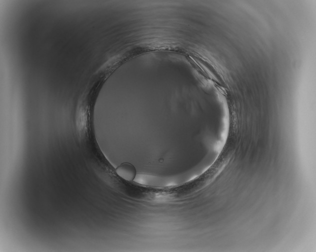 X0000100920165200807221123